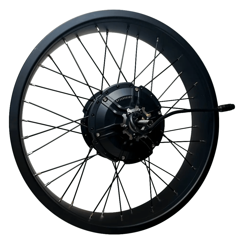 Fat bike 250w online